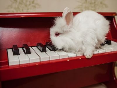 Χριστουγεννιάτικο δώρο για παιδιά που αγαπούν τη μουσική - Κόκκινο πιανάκι