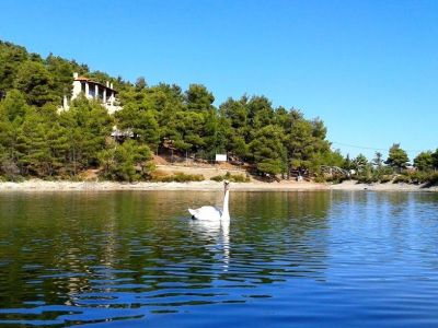 Λίμνη Μπελέτσι: Μια όμορφη και κοντινή απόδραση για όλη την οικογένεια