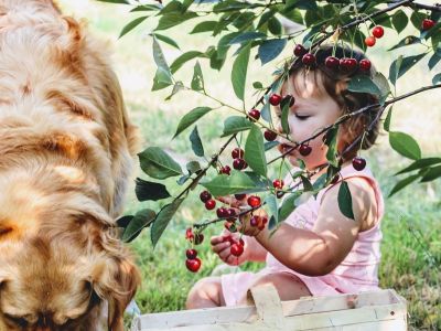 Πώς θα κόψεις τα λαχανικά για να μην πνίγονται τα παιδιά