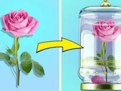 Ανοιξιάτικες κατασκευές που τα παιδιά θα λατρέψουν! (vid)