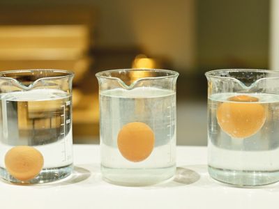 Πασχαλινά εργαστήρια στο Ίδρυμα Ευγενίδου για παιδιά και εφήβους