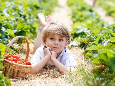 Αυτές οι πέντε τροφές δεν πρέπει να λείπουν από το διατροφολόγιο του παιδιού σας!