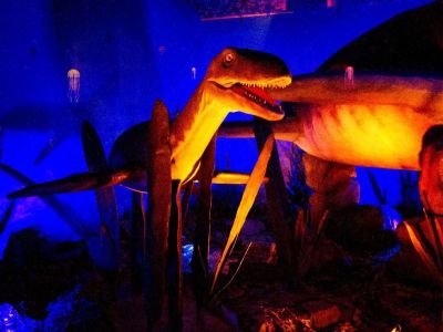 «Δεινόσαυροι και τέρατα των θαλασσών»: Διαδραστική έκθεση για την εξέλιξη της θαλάσσιας ζωής