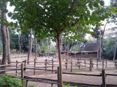 Άλσος πρώην Σχολής Χωροφυλακής: Κάντε μια βόλτα στο πιο κεντρικό πάρκο της Αθήνας