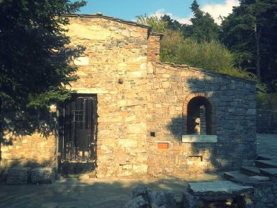 Οικογενειακή εκδρομή στο δάσος της Μόλας στην Πάρνηθα (pics)