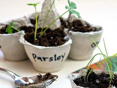 Εντυπωσιακές κατασκευές από χάρτινες αυγοθήκες - Δοκιμάστε τις (pics)