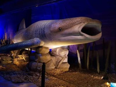 «Ελληνικός Κόσμος»: Παράταση λειτουργίας της έκθεσης "Δεινόσαυροι και τέρατα των θαλασσών"