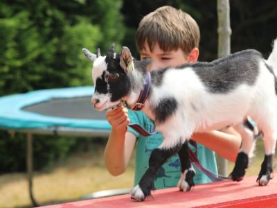 Ζωάκια βοηθούν παιδιά με αυτισμό - Οι φωτογραφίες που κάνουν το γύρο του διαδικτύου (pics)