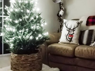 Μικρά χριστουγεννιάτικα δέντρα: Έχουν κι αυτά τη χάρη τους - Πάρτε ιδέες (pics)