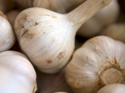 Τέσσερις επιστημονικά επιβεβαιωμένοι τρόποι για να τρως σκόρδο και να μην μυρίζει η ανάσα σου