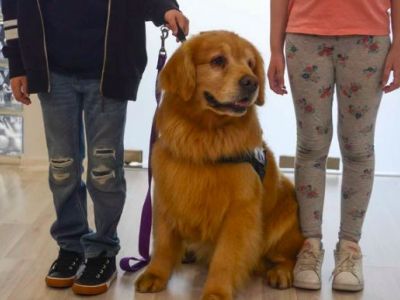 Τιτάν:Ο σκύλος που βοηθά παιδιά να μειώσουν το συναισθηματικό στρες που νιώθουν μετά την κακοποίηση