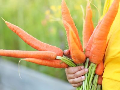 Παιδί και διατροφή: Τα επτά σημαντικά οφέλη του καρότου στην υγεία των παιδιών (pics)