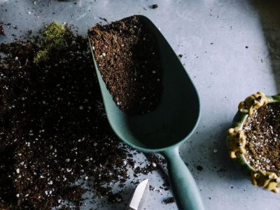 Αυτοί είναι οι λόγοι που πρέπει να βάζεις καφέ στις γλάστρες (photos)