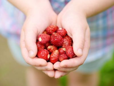 Οι φράουλες στη διατροφή των παιδιών: Τέσσερα οφέλη και δύο συνταγές για λαχταριστά σνακ (vids)