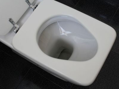 Έριξε γιαούρτι στη λεκάνη - Θα τρελαθείτε μόλις το κάνετε (photos)