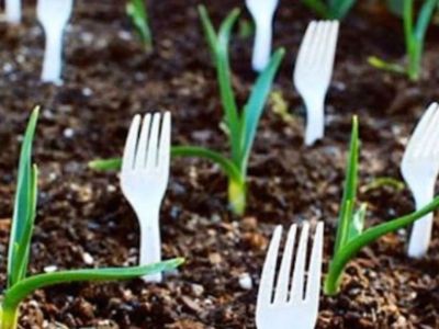 Γέμισε τον κήπο με πλαστικά πιρούνια - Δεν φαντάζεστε για ποιον λόγο (video)