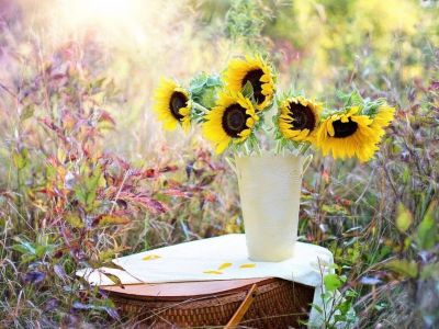 Έριξε ξύδι και ζάχαρη σε βάζο - Θα το κάνετε άμεσα κι εσείς (photos)