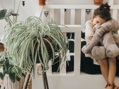 Φυτά εσωτερικά χώρου κατάλληλα για το βρεφικό δωμάτιο και όχι μόνο