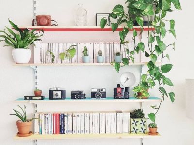 Ράφια τοίχου: Δείτε πόσες επιλογές έχετε για τo σπίτι σας (pics)