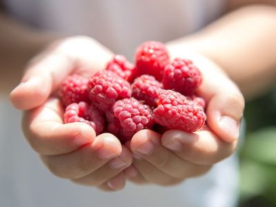 Σμέουρα: Τα άγνωστα οφέλη τους στη διατροφή των παιδιών