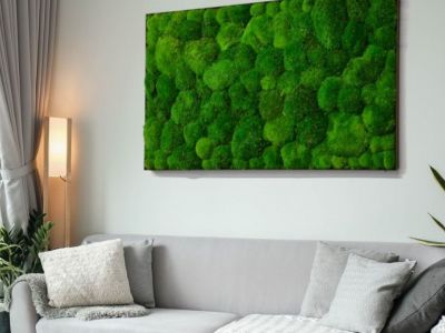 Πώς το πράσινο χρώμα στο σπίτι μας λειτουργεί θεραπευτικά για την ψυχολογία μας