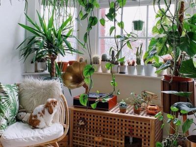 Nature inside: Αυτό είναι το Νο1 deco trend του 2021 που ήρθε για να μείνει