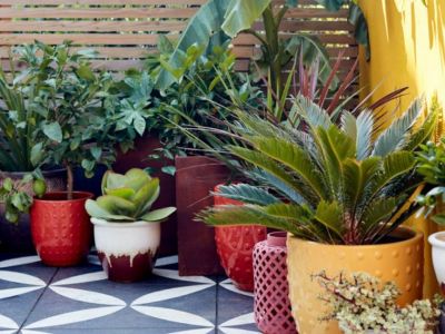 20+1 ιδέες για να δεις με «άλλο μάτι» την κηπουρική αλλά και τα φυτά στο μπαλκόνι σου (video)