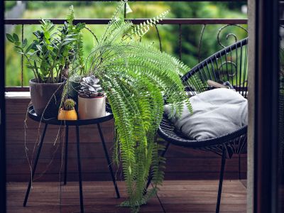 Τιps για μαμάδες: Πέντε ανθεκτικά φυτά για το μπαλκόνι σας το καλοκαίρι