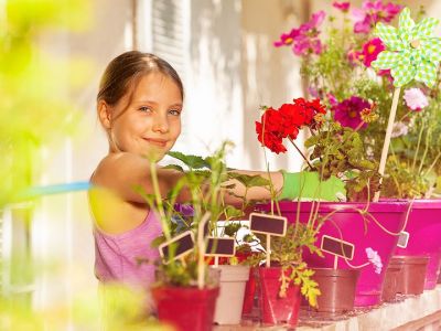 Γεράνια μέσα στο σπίτι: Ιδέες διακόσμησης και τι να γνωρίζετε για αυτά