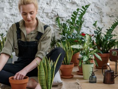 Τα φυτά που διώχνουν μακριά τα κουνούπια: Φύτεψέ τα τώρα στο μπαλκόνι (photos)