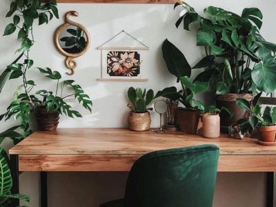 Plant office: 8 γραφεία κάνουν την τηλεργασία αυτό το καλοκαίρι... τον απόλυτο παράδεισο!