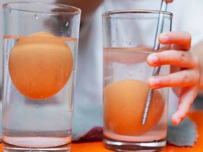 Δραστηριότητες για παιδιά: Πείραμα με αυγό και ξύδι (εικόνες και βίντεο)