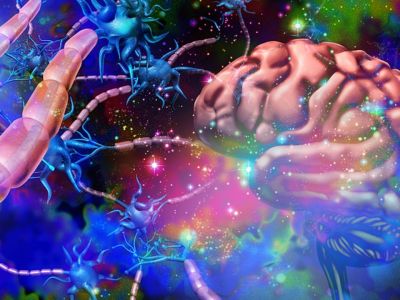 Σκλήρυνση κατά πλάκας: Οι τροφές που αυξάνουν τον κίνδυνο (εικόνες)