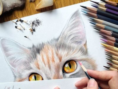 Δέκα χρωμοσελίδες με γατάκια για εκτύπωση (εικόνες)