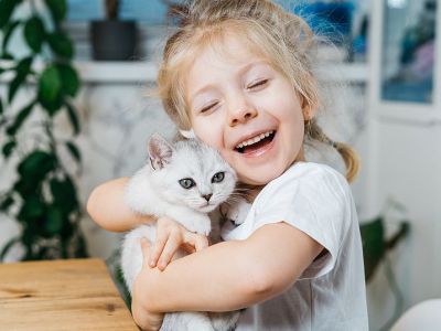 Ψύλλοι και γάτα - Μυστικά για πρόληψη και αντιμετώπιση στο σπίτι