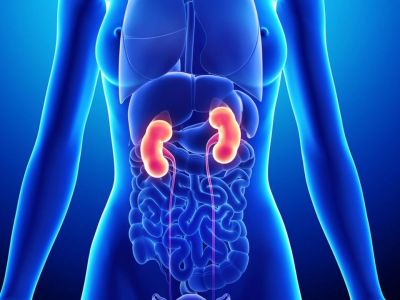 5 παθήσεις που απειλούν τα νεφρά (εικόνες)