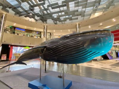 Η συναρπαστική έκθεση «Πλάσματα & Μυστήρια του Βυθού» στο Mediterranean Cosmos