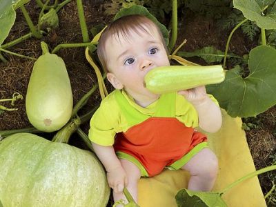 Κολοκυθάκια στα μωρά και τα νήπια - Οφέλη και συνταγές (vid)