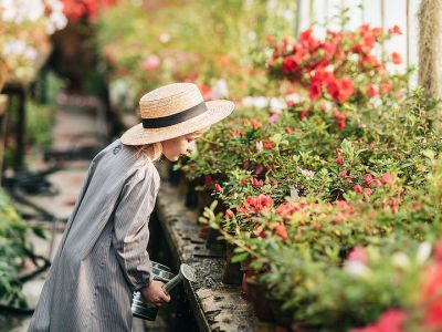 Ποιοι παράγοντες επηρεάζουν την ανάπτυξη του παιδιού (εικόνες)