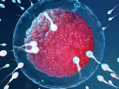 Ανεξήγητη υπογονιμότητα και επαναλαμβανόμενες αποβολές: Πότε ευθύνεται ο άντρας