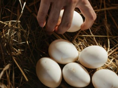 Αυτό είναι το μυστικό για να ξεφλουδίσεις γρήγορα ένα αυγό