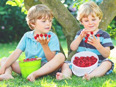 Nέα μελέτη δείχνει ότι οι χορτοφαγικές δίαιτες είναι υγιεινές για τα παιδιά