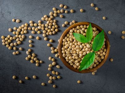 Η σόγια επηρεάζει τη γυναικεία γονιμότητα;