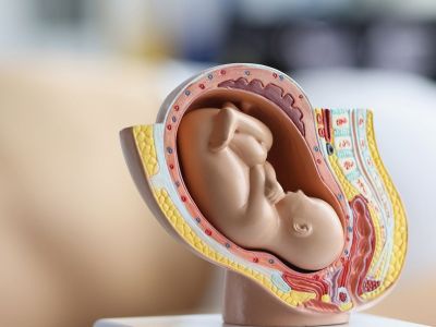 Γονείς απέκτησαν δίδυμα από έμβρυα, που καταψύχθηκαν 30 χρόνια πριν