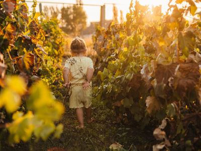 Βασικές αρετές της ηθικής νοημοσύνης στα παιδιά