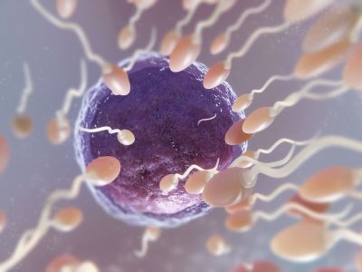 Aνδρική Υπογονιμότητα: Τι είναι και πώς θεραπεύεται