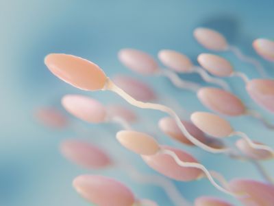 Ανδρική γονιμότητα: Tese/Micro Tese Βιοψία Όρχεως για αζωοσπερμία