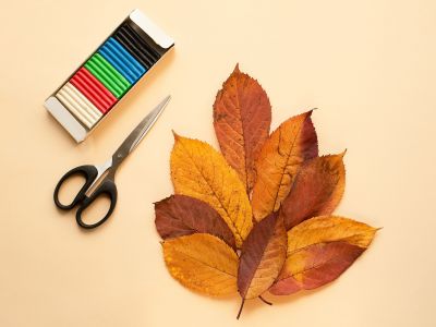 Μαθαίνουμε για το φθινόπωρο μέσα από τέσσερις φθινοπωρινές κατασκευές