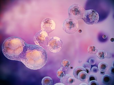 Αποβολή και Κύτταρα Φονείς (ΝΚ) - Νέα επιστημονική πρόταση με ελληνική υπογραφή