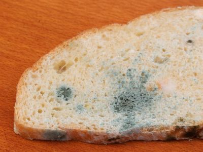 Μούχλα στις τροφές: Τι απαντούν οι ειδικοί ασφάλειας τροφίμων